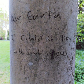 2022-04-27 18.54_edited.jpg