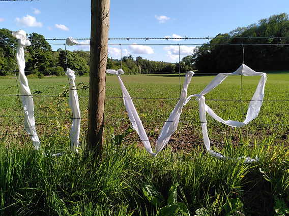 2022-05-24 17.36.03.jpg