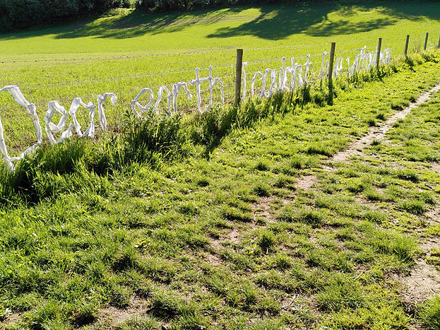 2022-05-24 17.36.55.jpg