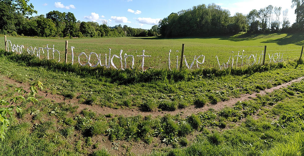 2022-05-24 17.38.10.jpg