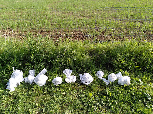 2022-05-24 18.19.26.jpg